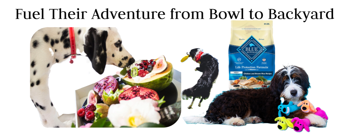 Fuel Their Adventure