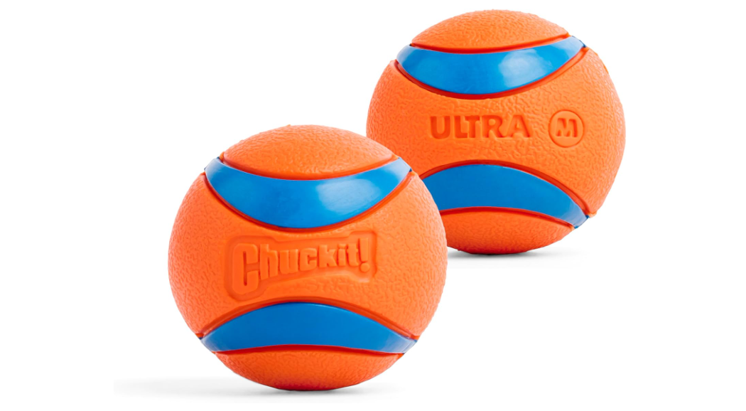 Orthopedic Memory Foam Dog Bed